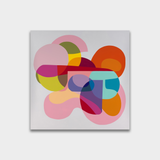 CLARITY SERIES NO: 01