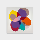 CLARITY SERIES NO: 04